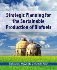 bokomslag Strategic Planning for the Sustainable Production of Biofuels