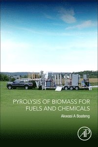 bokomslag Pyrolysis of Biomass for Fuels and Chemicals