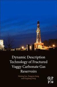 bokomslag Dynamic Description Technology of Fractured Vuggy Carbonate Gas Reservoirs