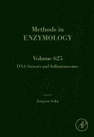 Sohn,Jungsa, Jungsan Sohn - DNA Sensors and Inflammasomes, Inbunden