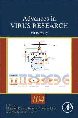 Virus Entry 1