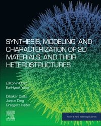 bokomslag Synthesis, Modelling and Characterization of 2D Materials and their Heterostructures