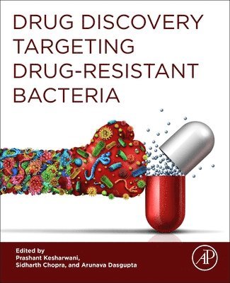 Drug Discovery Targeting Drug-Resistant Bacteria 1