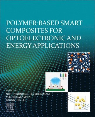 bokomslag Polymer-Based Advanced Functional Composites for Optoelectronic and Energy Applications