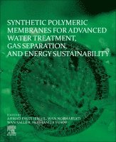 Synthetic Polymeric Membranes for Advanced Water Treatment, Gas Separation, and Energy Sustainability