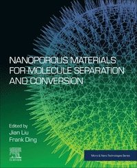 bokomslag Nanoporous Materials for Molecule Separation and Conversion