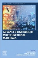 Pedro Costa, Carlos M. Costa, Senentxu Lanceros-M�ndez - Advanced Lightweight Multifunctional Materials, Häftad