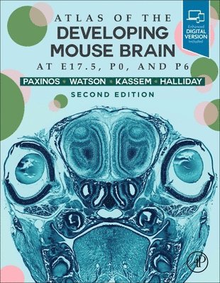 Atlas of the Developing Mouse Brain 1