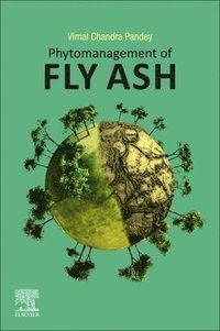 bokomslag Phytomanagement of Fly Ash