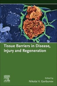 bokomslag Tissue Barriers in Disease, Injury and Regeneration