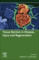 Nikolai V. Gorbunov - Tissue Barriers in Disease, Injury and Regeneration, Häftad