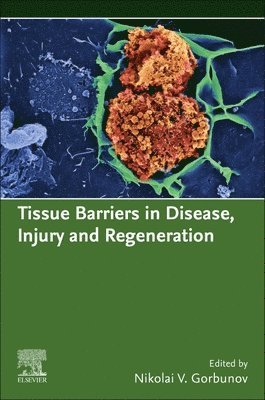 bokomslag Tissue Barriers in Disease, Injury and Regeneration