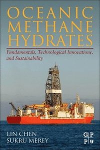 bokomslag Oceanic Methane Hydrates