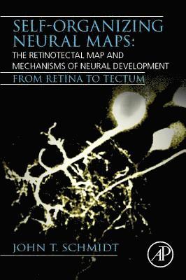 Self-organizing Neural Maps: The Retinotectal Map and Mechanisms of Neural Development 1