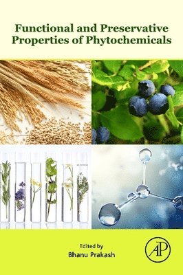 bokomslag Functional and Preservative Properties of Phytochemicals