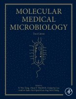 Yi-Wei Tang, Musa Hindiyeh, Dongyou Liu, Andrew Sails, Paul Spearman, Jing-Ren Zhang - Molecular Medical Microbiology, Inbunden