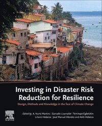 bokomslag Investing in Disaster Risk Reduction for Resilience