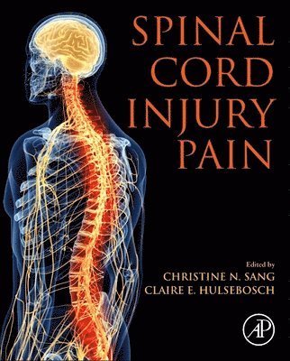 bokomslag Spinal Cord Injury Pain