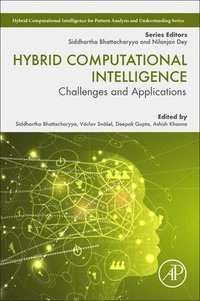 bokomslag Hybrid Computational Intelligence