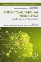 Siddhartha Bhattacharyya, Vaclav Snasel, Deepak Gupta, Ashish Khanna - Hybrid Computational Intelligence, Häftad