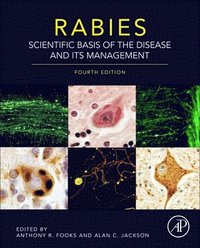 bokomslag Rabies