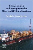 Risk Assessment and Management for Ships and Offshore Structures 1