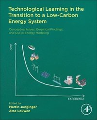 bokomslag Technological Learning in the Transition to a Low-Carbon Energy System