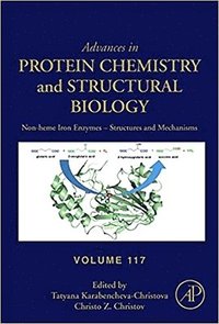bokomslag Non-heme Iron Enzymes: Structures and Mechanisms