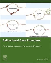 bokomslag Bidirectional Gene Promoters