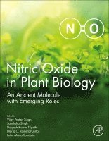 Vijay Pratap Singh, Samiksha Singh, Durgesh Kumar Tripathi, Maria C. Romero-Puertas, Luisa Mar�a Sandalio - Nitric Oxide in Plant Biology, Inbunden