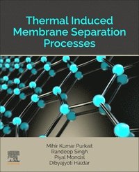 bokomslag Thermal Induced Membrane Separation Processes