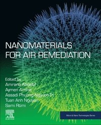 bokomslag Nanomaterials for Air Remediation