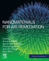 Abdeltif Amrane, Aymen Amine Assadi, Tuan Anh Nguyen, Sami Rtimi, Phuong Nguyen-Tri - Nanomaterials for Air Remediation, Häftad