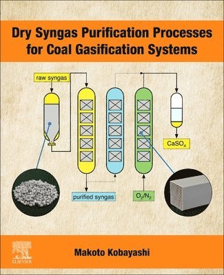 bokomslag Dry Syngas Purification Processes for Coal Gasification Systems