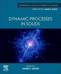 bokomslag Dynamic Processes in Solids