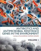 Muhammad Zaffar Hashmi - Antibiotics and Antimicrobial Resistance Genes in the Environment, Häftad