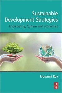 bokomslag Sustainable Development Strategies