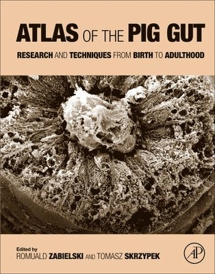 bokomslag Atlas of the Pig Gut