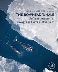 bokomslag The Bowhead Whale
