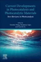 Xinchen Wang, Masakazu Anpo, Xianzhi Fu - Current Developments in Photocatalysis and Photocatalytic Materials, Häftad