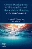 bokomslag Current Developments in Photocatalysis and Photocatalytic Materials