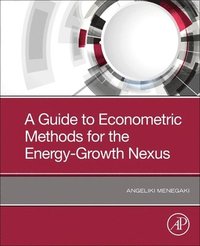 bokomslag A Guide to Econometric Methods for the Energy-Growth Nexus