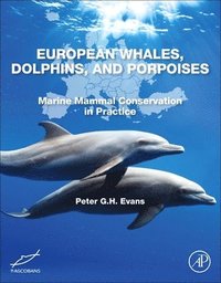 bokomslag European Whales, Dolphins, and Porpoises