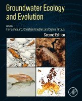 bokomslag Groundwater Ecology and Evolution