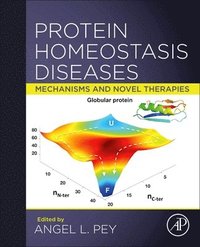 bokomslag Protein Homeostasis Diseases
