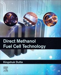 bokomslag Direct Methanol Fuel Cell Technology