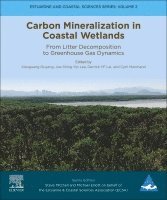 bokomslag Carbon Mineralization in Coastal Wetlands