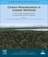 bokomslag Carbon Mineralization in Coastal Wetlands