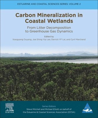 Carbon Mineralization in Coastal Wetlands 1