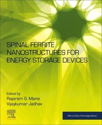 bokomslag Spinel Ferrite Nanostructures for Energy Storage Devices